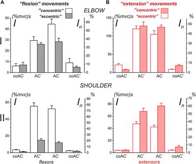 Central Commands to the Elbow and Shoulder Muscles During Circular Planar Movements of Hand With Simultaneous Generation of Tangential Forces